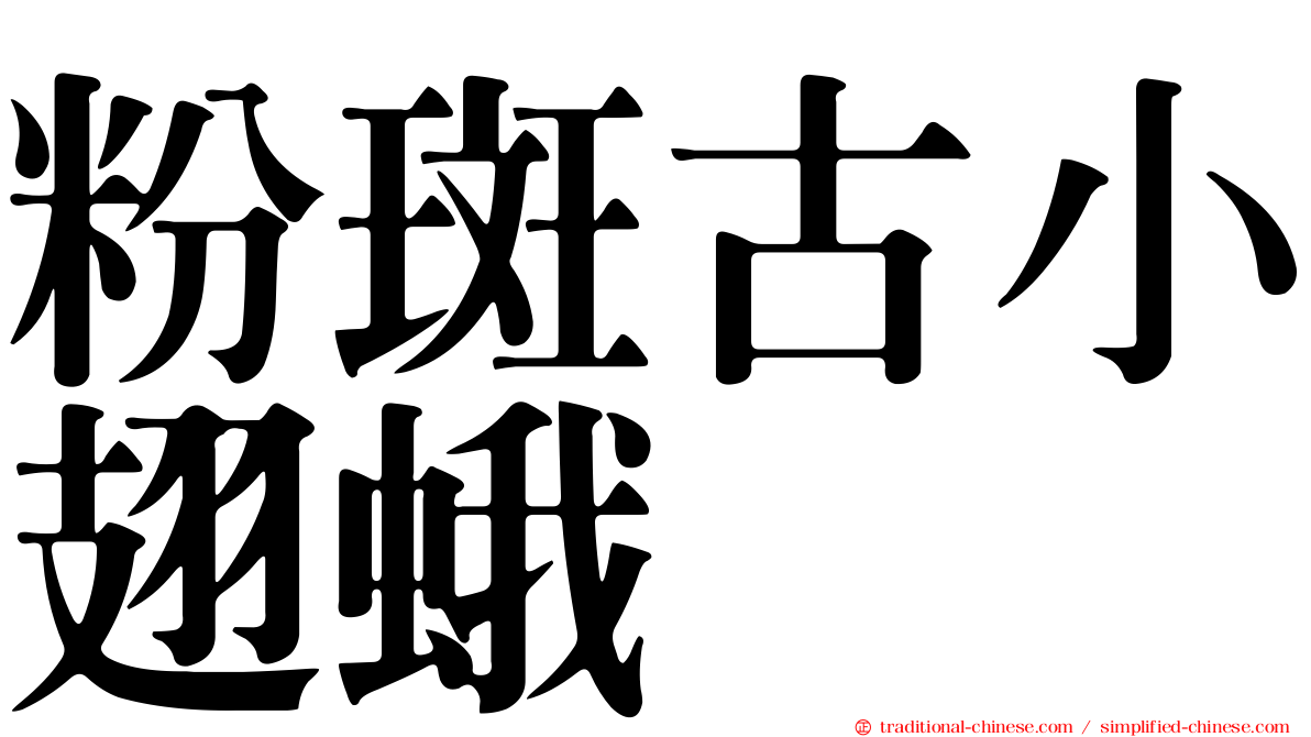 粉斑古小翅蛾