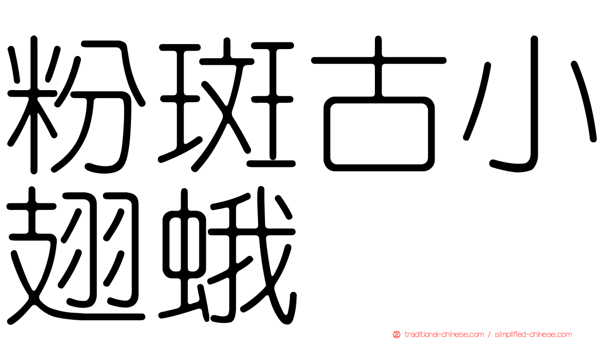 粉斑古小翅蛾