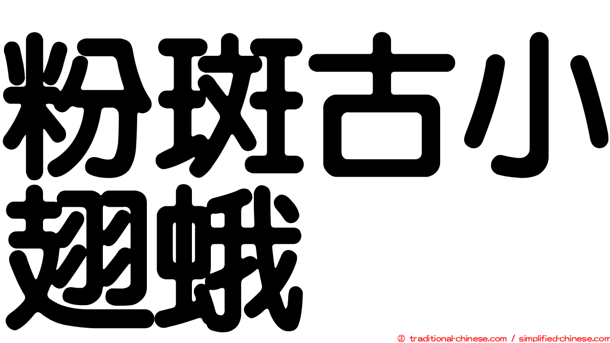 粉斑古小翅蛾