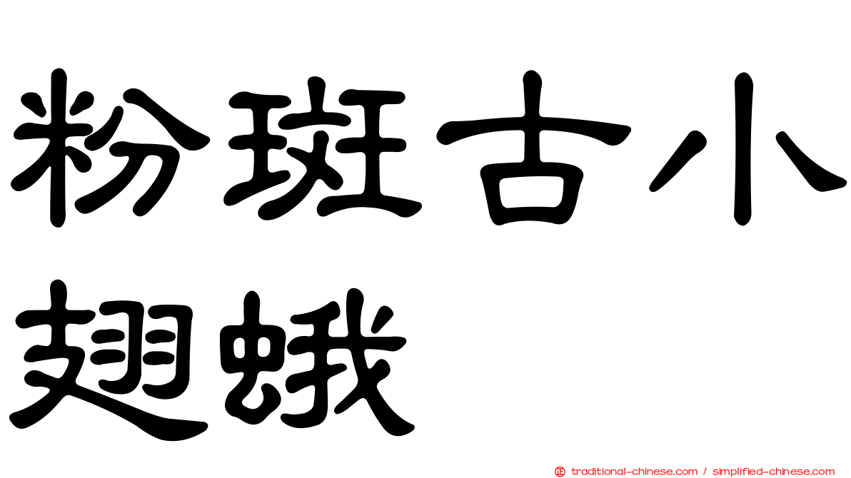 粉斑古小翅蛾
