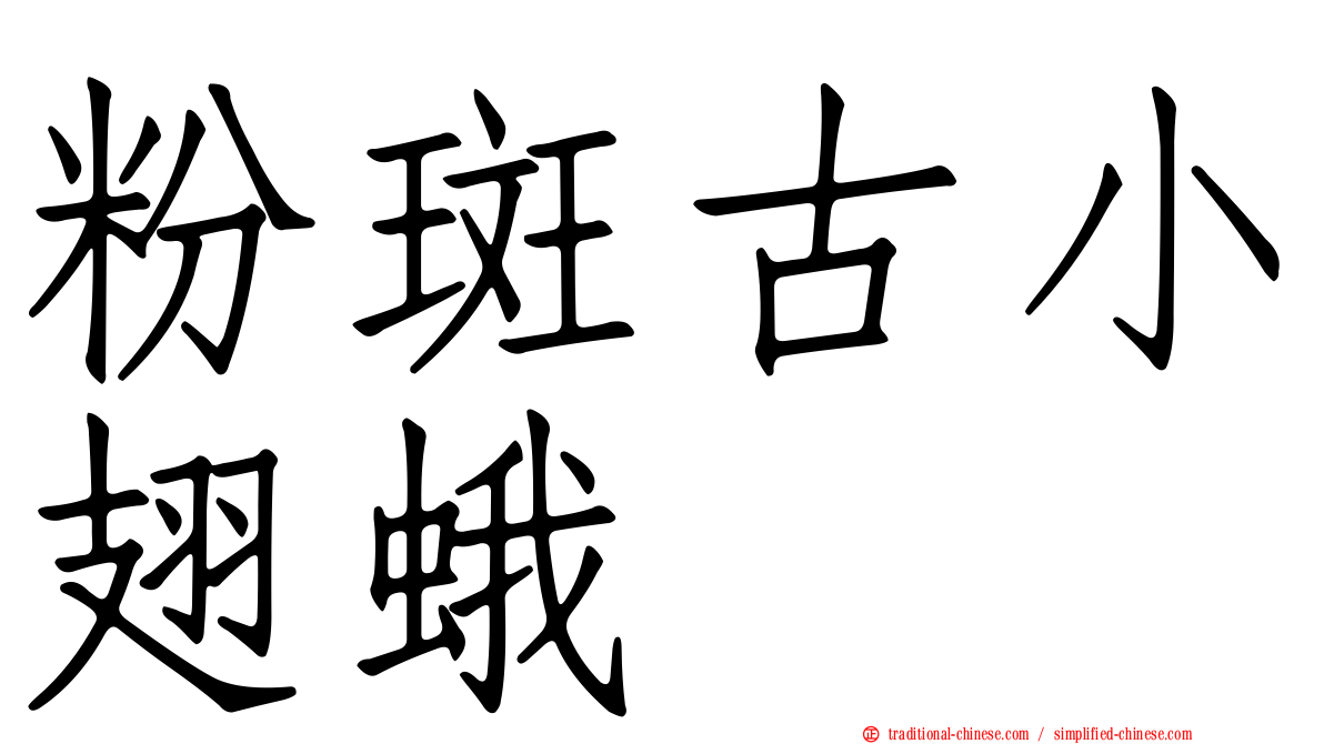 粉斑古小翅蛾
