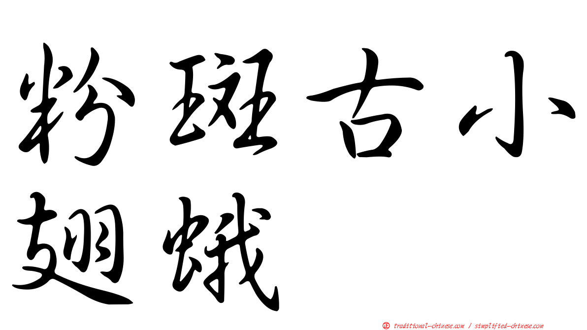 粉斑古小翅蛾