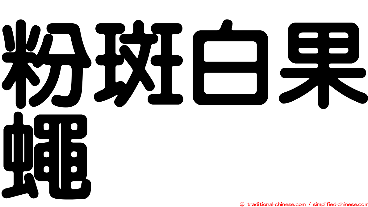 粉斑白果蠅