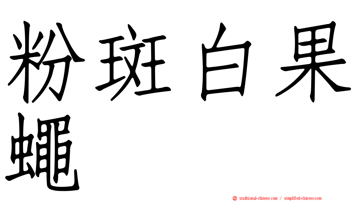 粉斑白果蠅