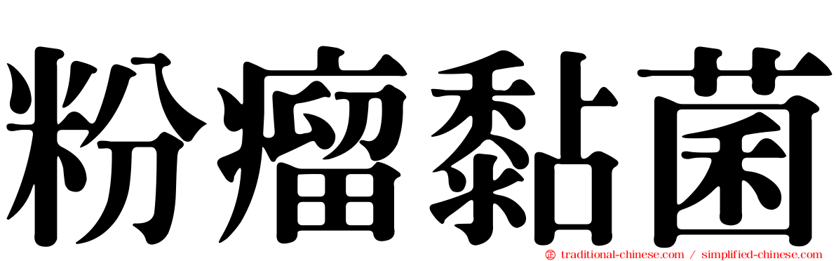 粉瘤黏菌