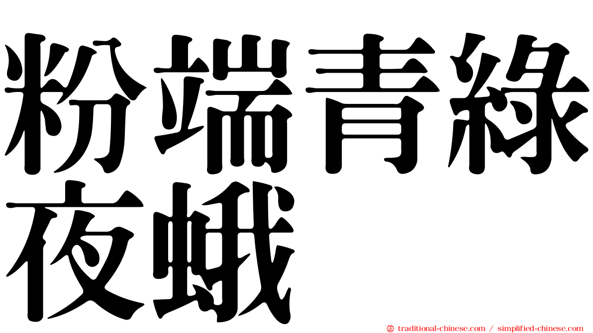 粉端青綠夜蛾