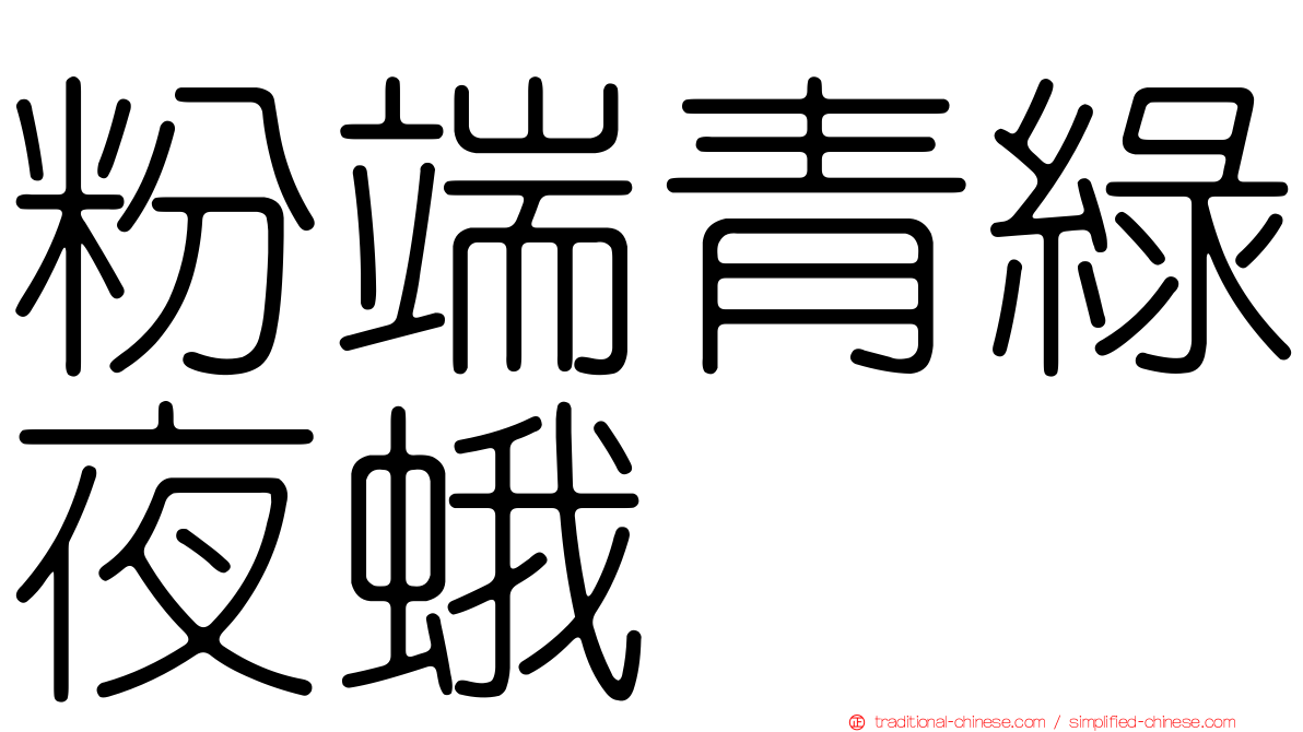 粉端青綠夜蛾