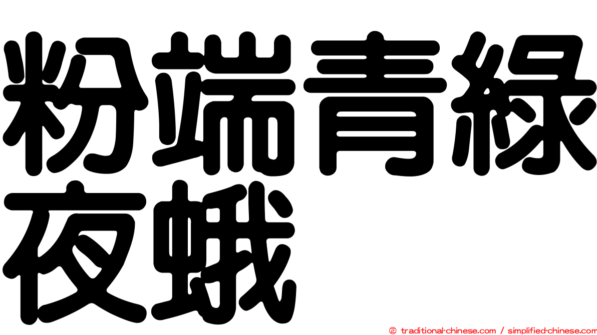 粉端青綠夜蛾
