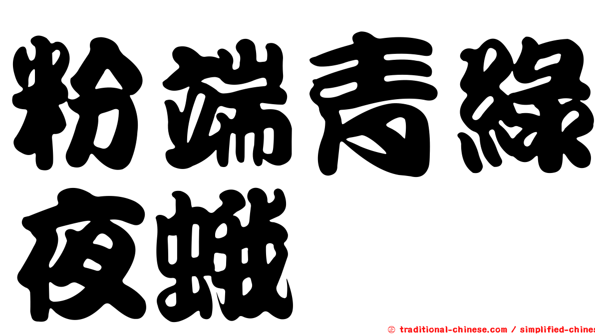 粉端青綠夜蛾