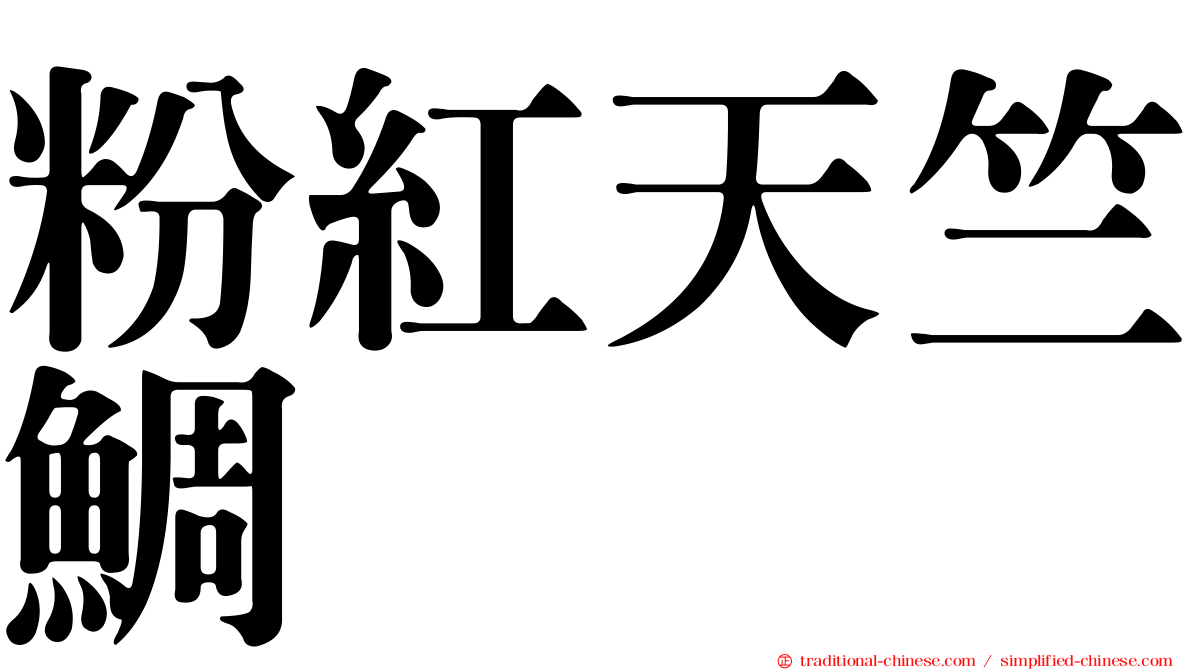 粉紅天竺鯛