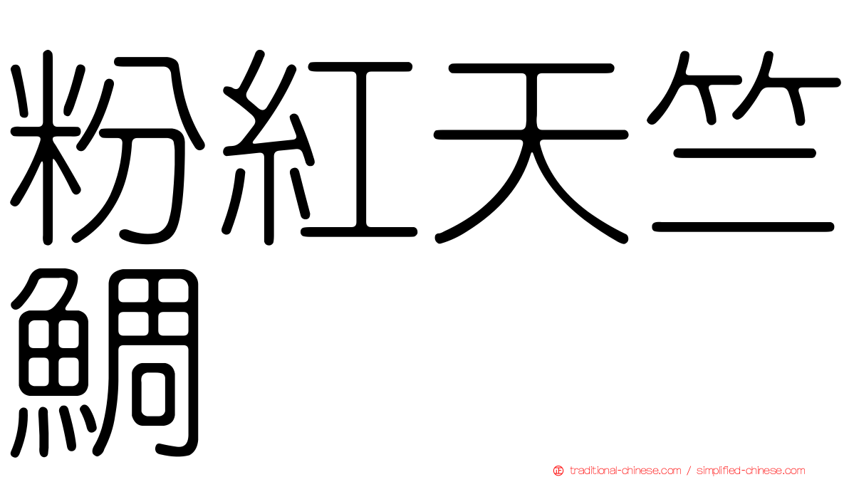 粉紅天竺鯛