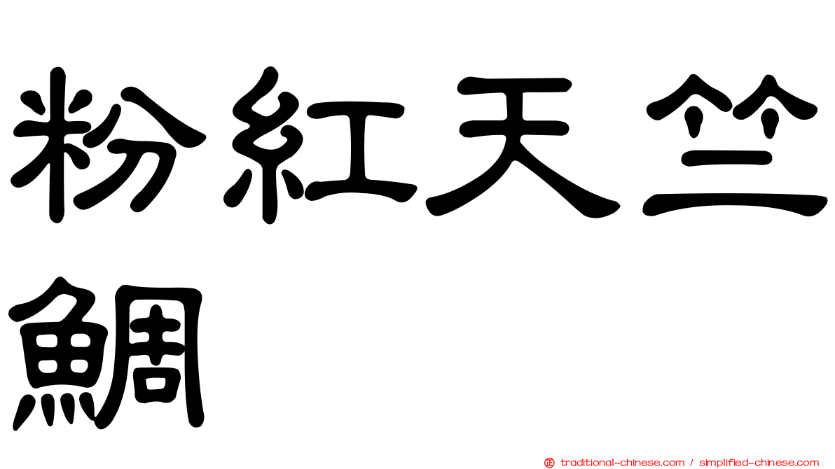 粉紅天竺鯛