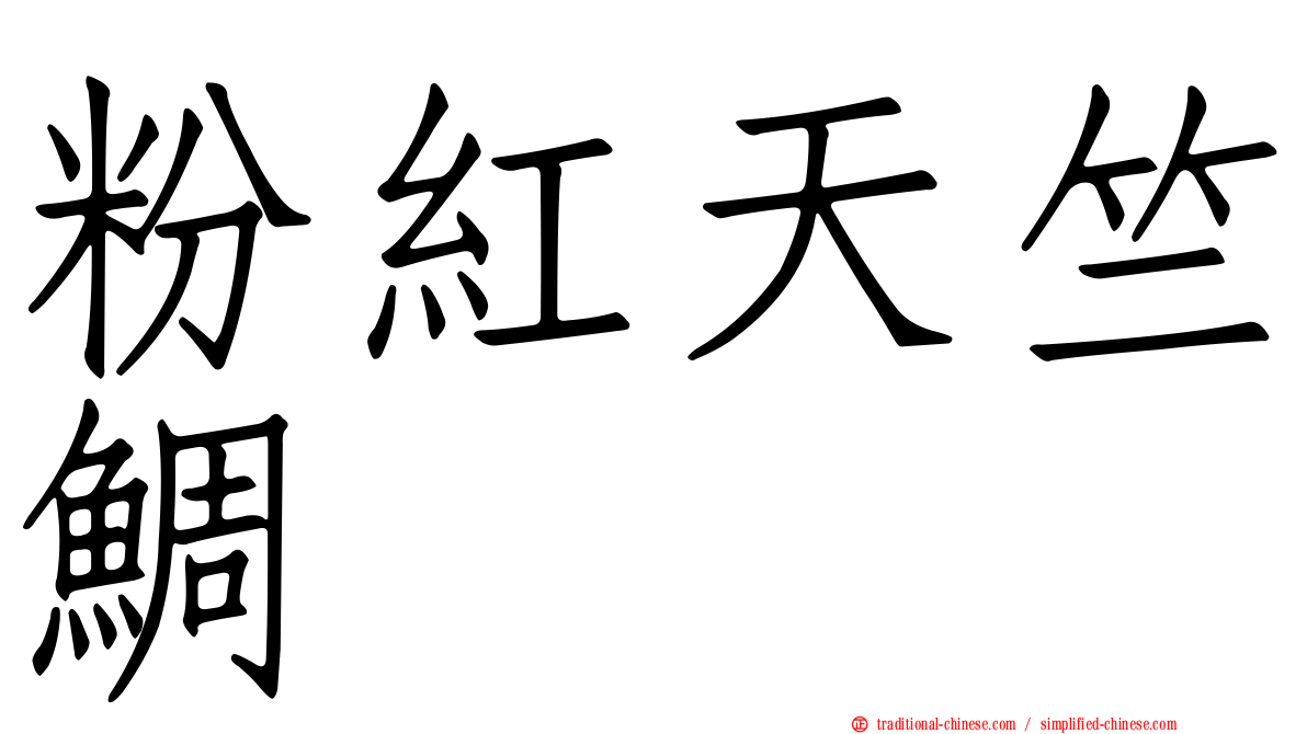 粉紅天竺鯛