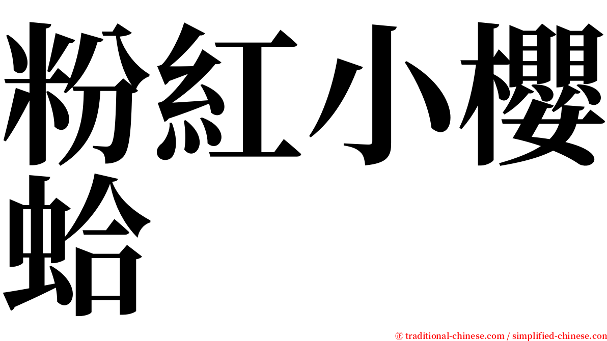粉紅小櫻蛤 serif font