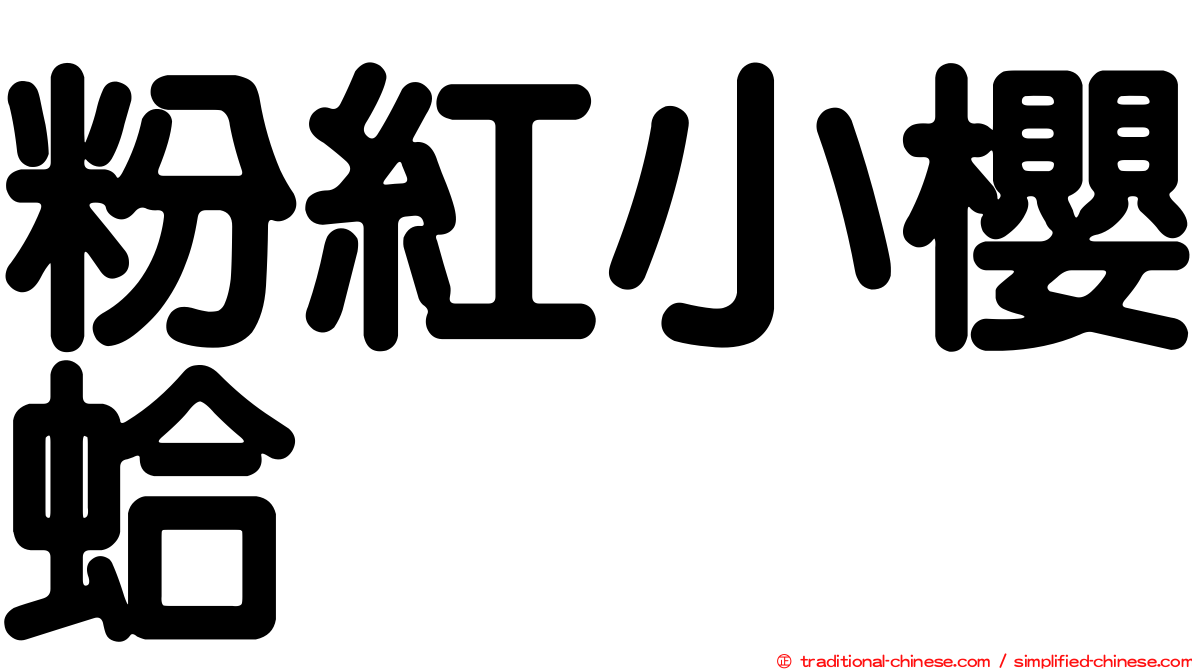 粉紅小櫻蛤