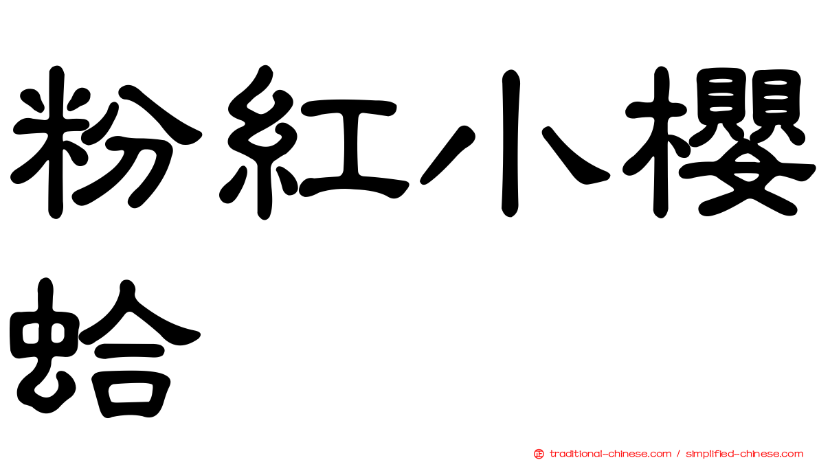 粉紅小櫻蛤