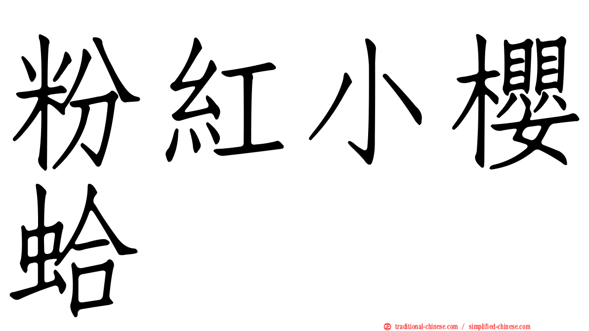 粉紅小櫻蛤