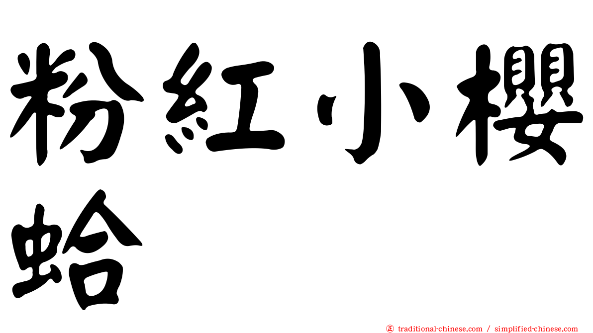 粉紅小櫻蛤