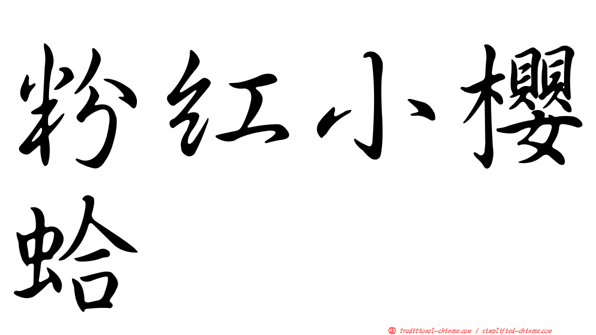 粉紅小櫻蛤