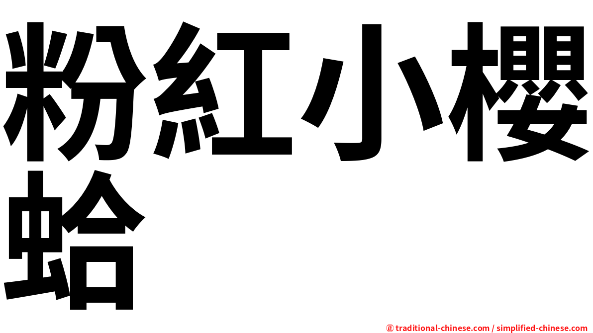 粉紅小櫻蛤