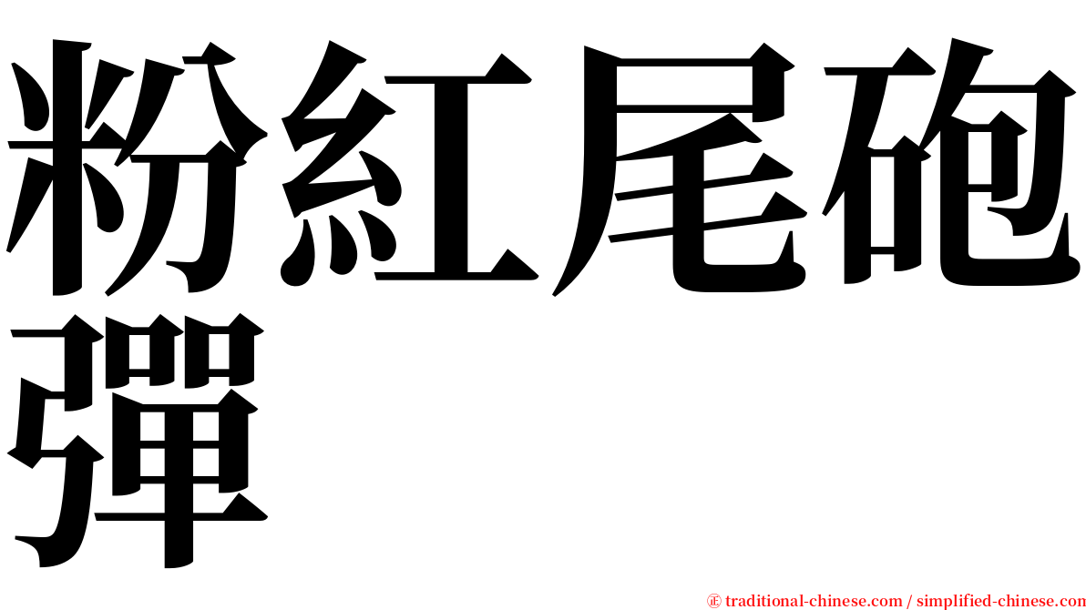 粉紅尾砲彈 serif font