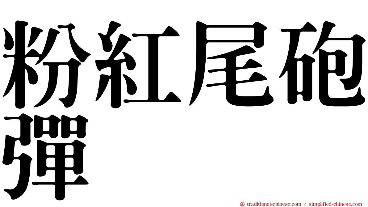 粉紅尾砲彈
