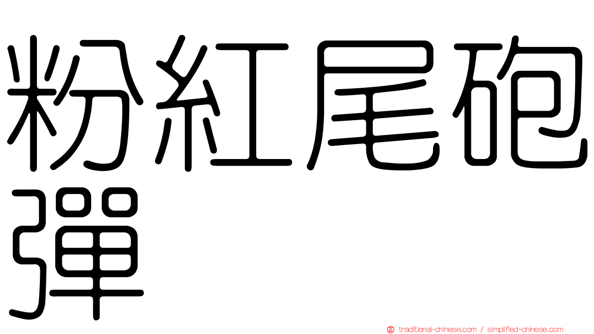 粉紅尾砲彈