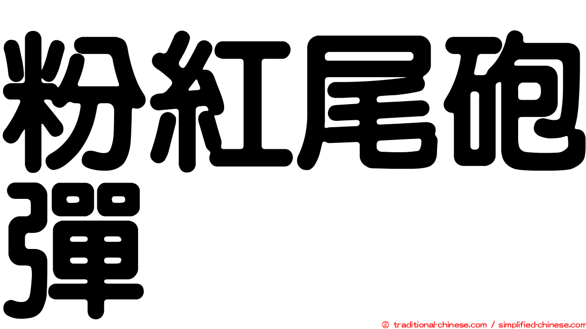 粉紅尾砲彈