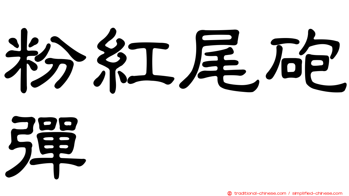 粉紅尾砲彈