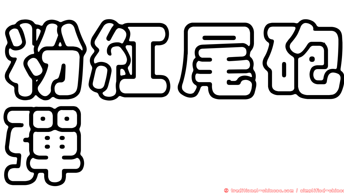 粉紅尾砲彈