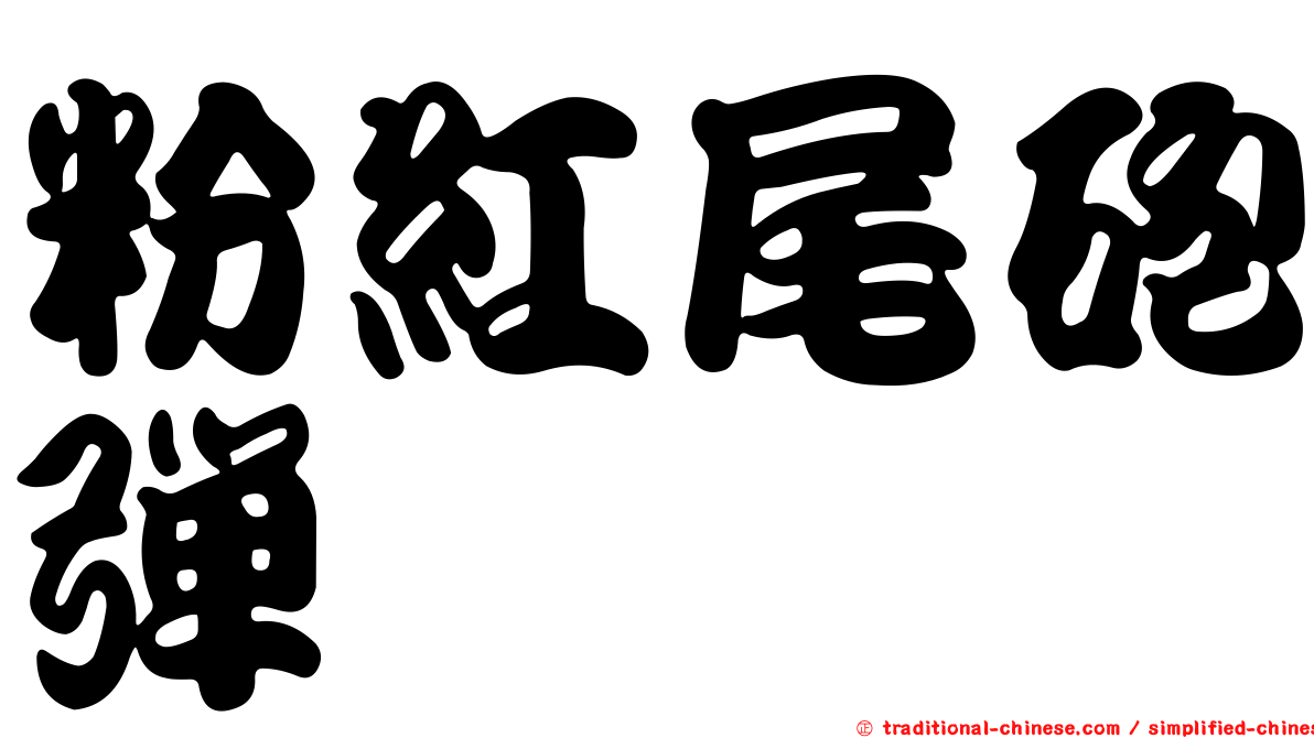 粉紅尾砲彈