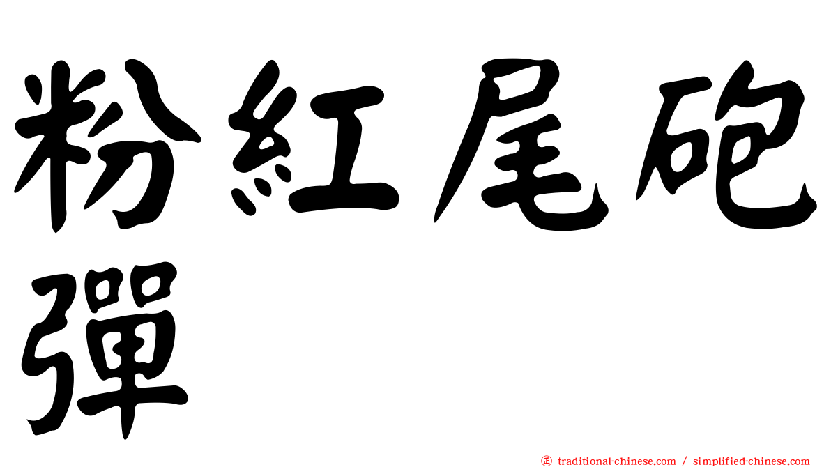粉紅尾砲彈