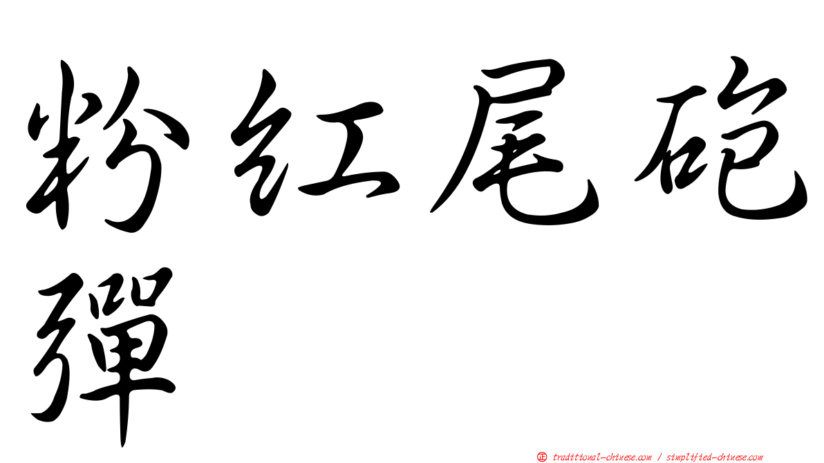 粉紅尾砲彈