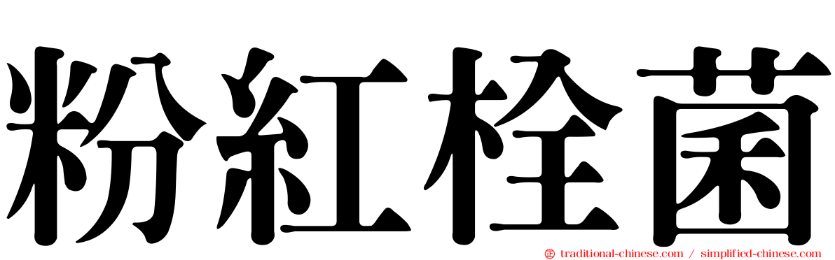 粉紅栓菌