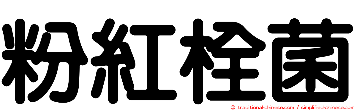 粉紅栓菌
