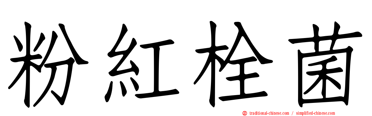 粉紅栓菌