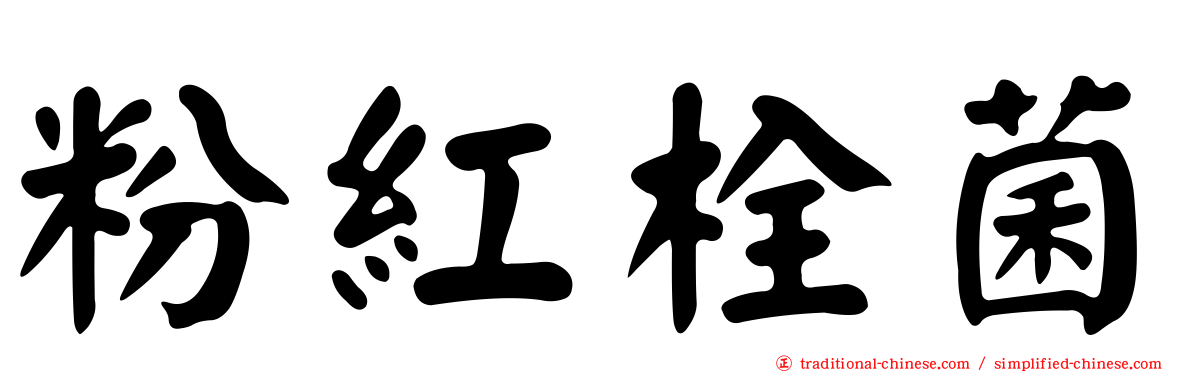 粉紅栓菌