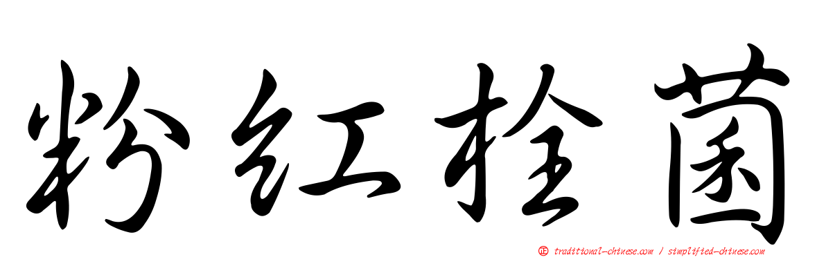 粉紅栓菌
