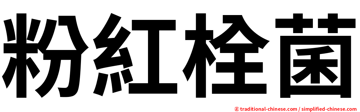 粉紅栓菌