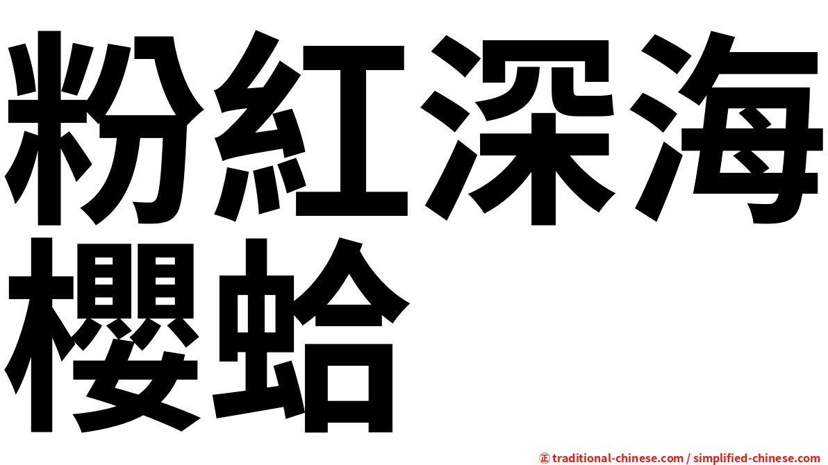 粉紅深海櫻蛤
