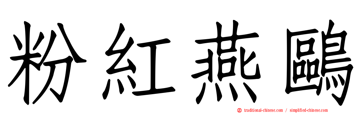粉紅燕鷗