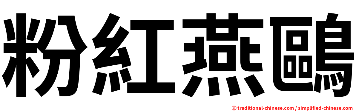 粉紅燕鷗