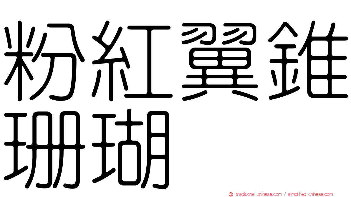 粉紅翼錐珊瑚