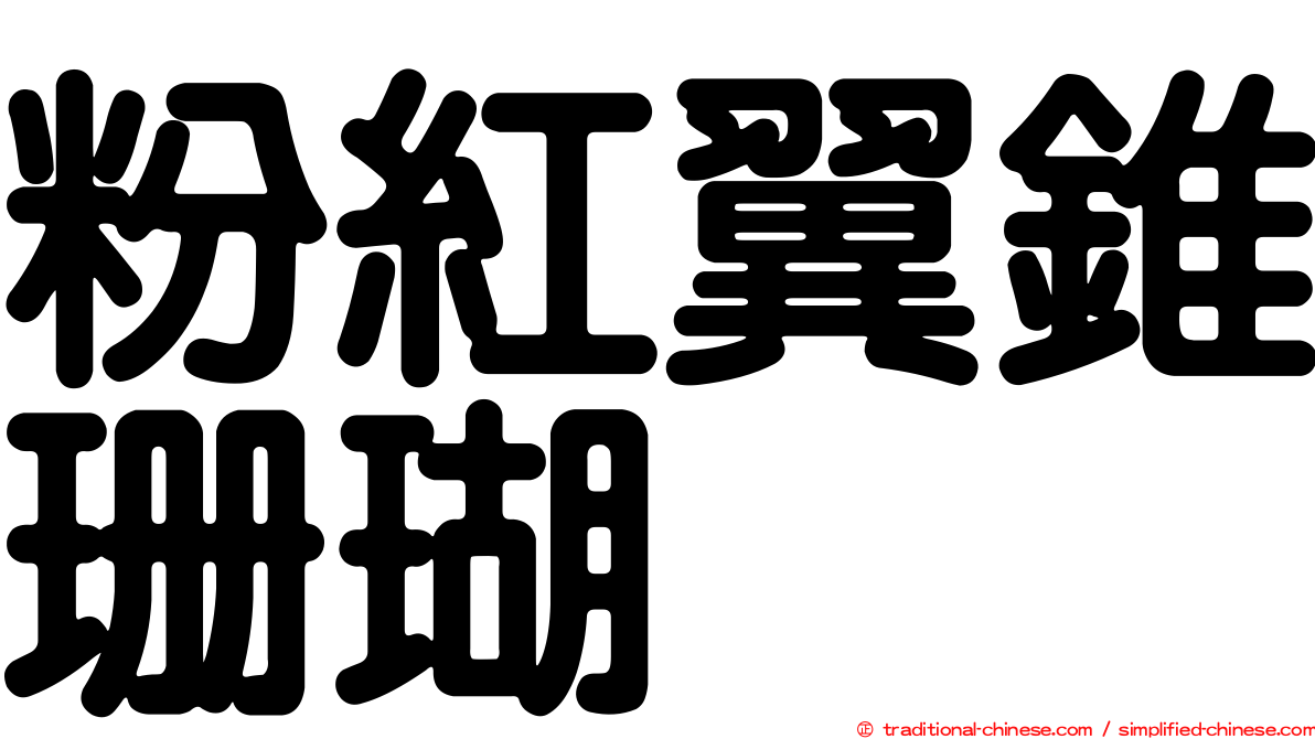 粉紅翼錐珊瑚