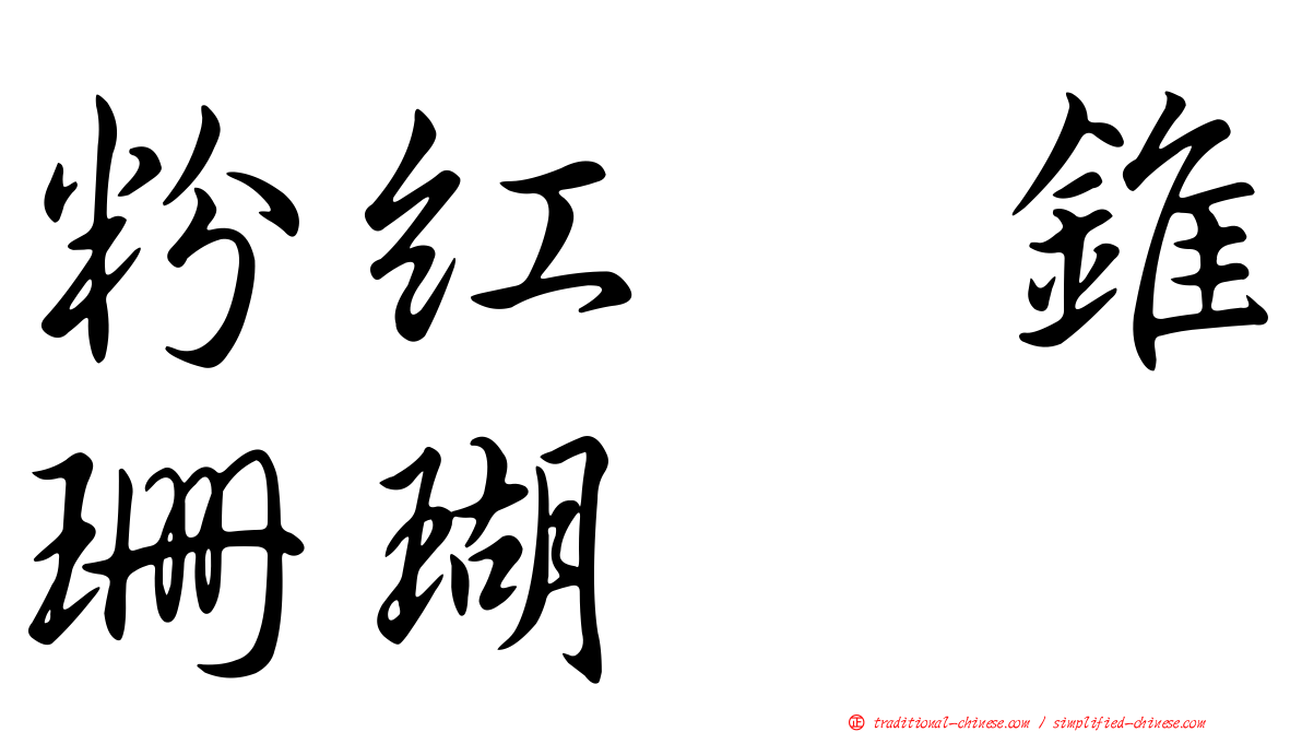 粉紅翼錐珊瑚