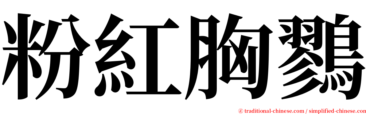粉紅胸鷚 serif font