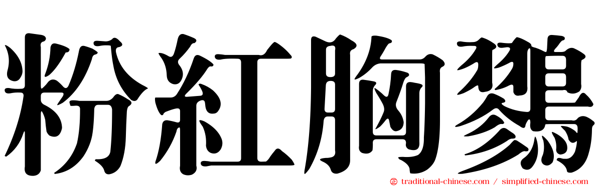粉紅胸鷚