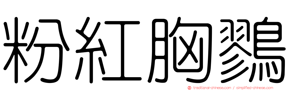 粉紅胸鷚