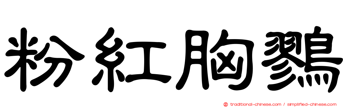 粉紅胸鷚