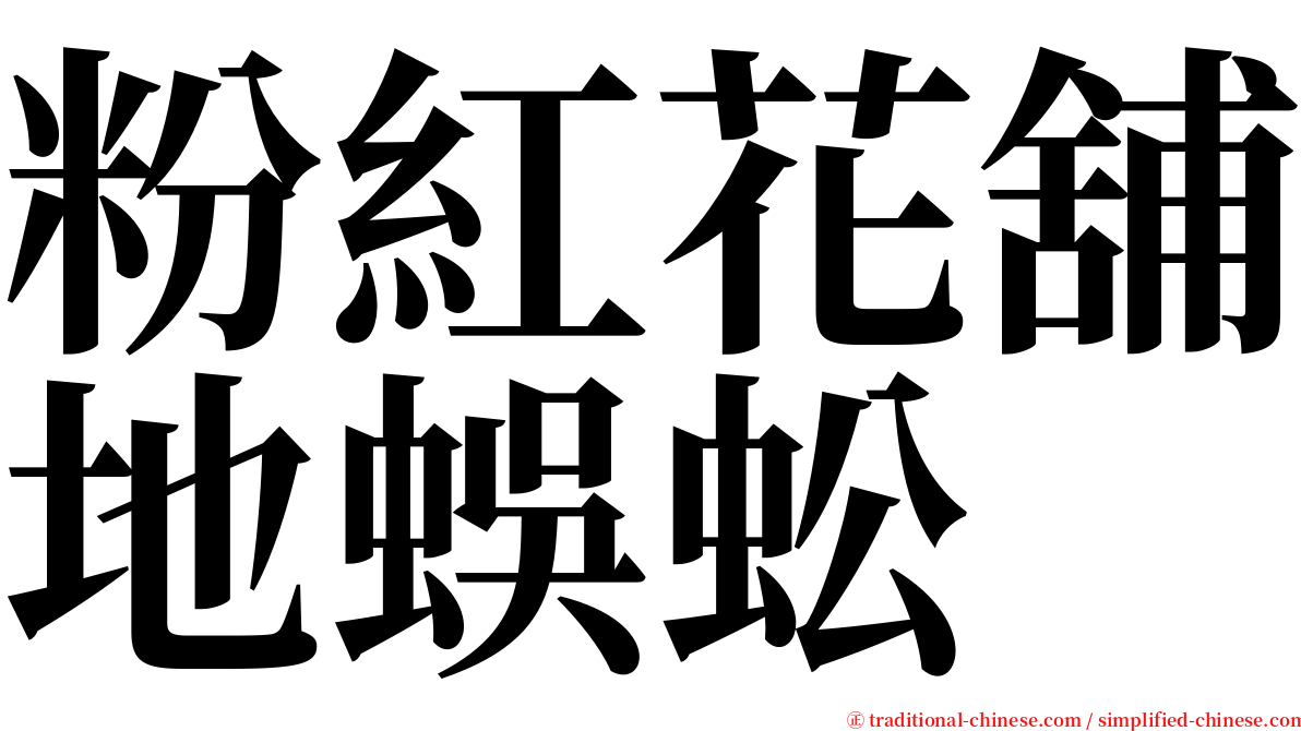 粉紅花舖地蜈蚣 serif font